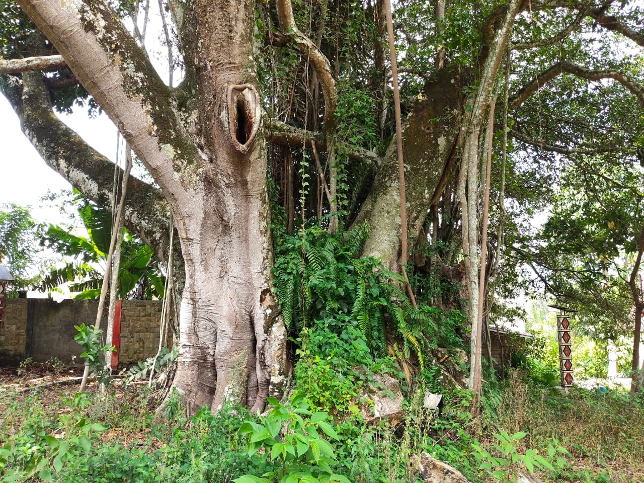 Makam Raja Ompu Toba Sidabutar